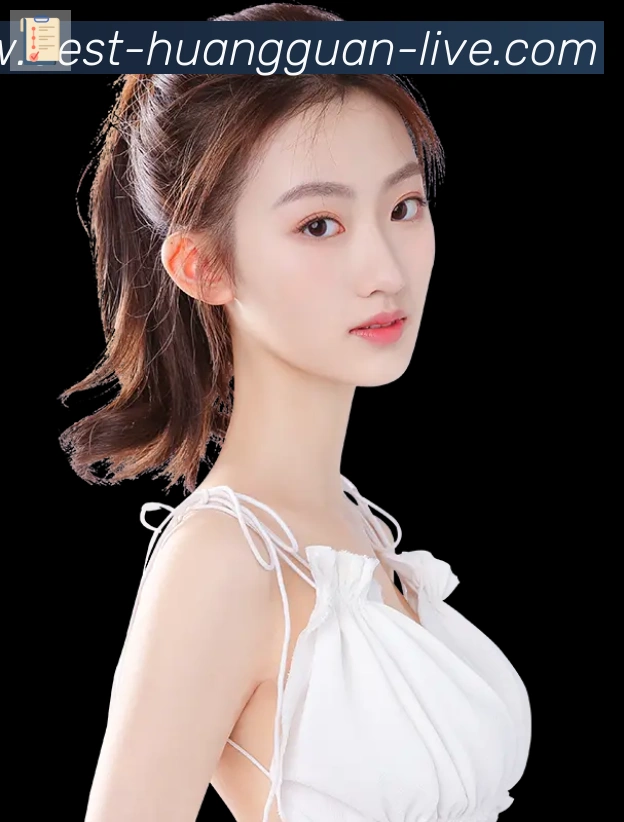 奖项证书